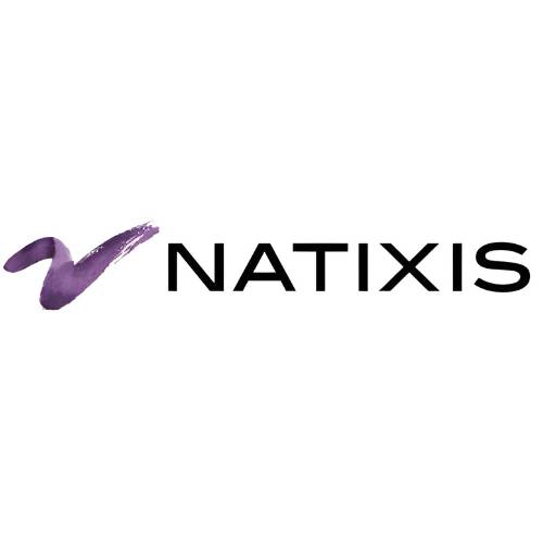 NATIXIS pour TPE Ingenico (Code de téléchargement)